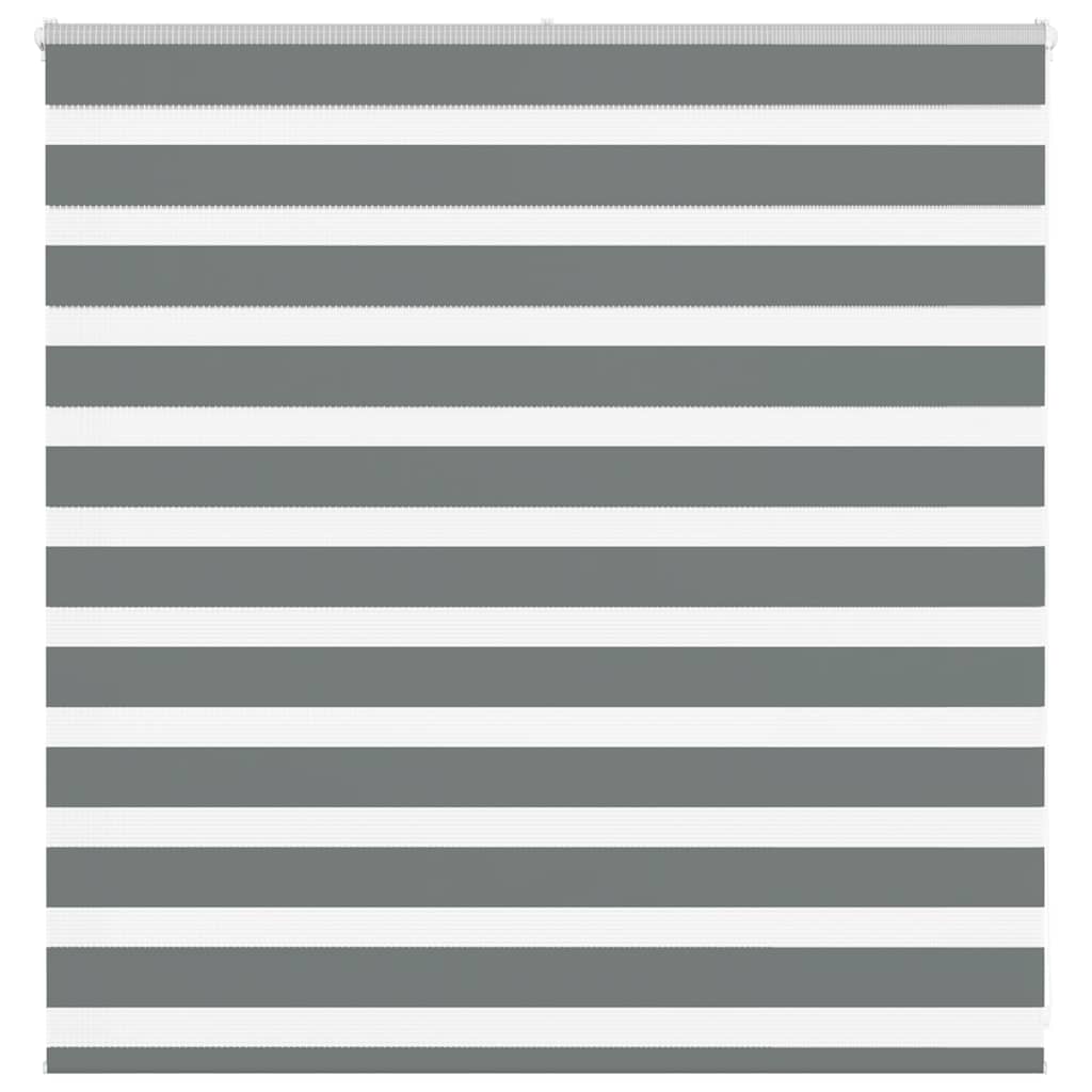 Vidaxl Zebra Roller Blind 150x100 cm Staubbreite 145,9 cm dunkelgrau