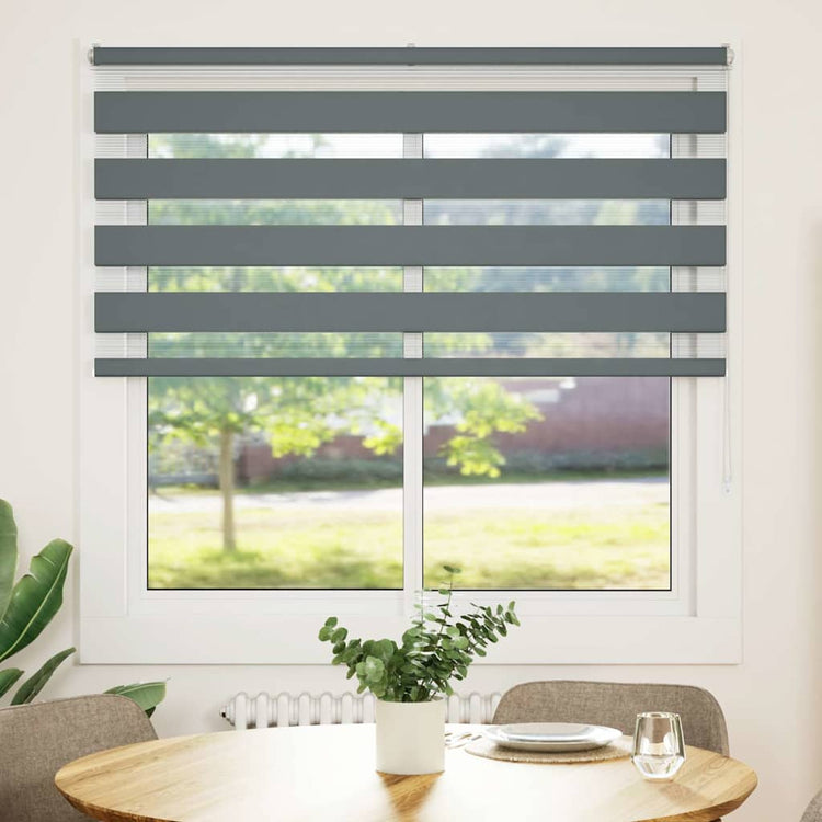 Vidaxl Zebra Roller Blind 150x100 cm Staubbreite 145,9 cm dunkelgrau