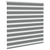 Vidaxl Zebra Roller Blind 150x100 cm Staubbreite 145,9 cm dunkelgrau