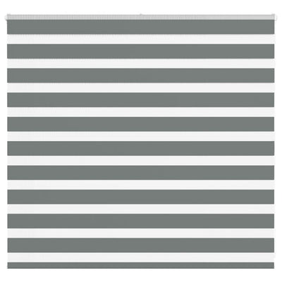 Vidaxl Zebra Roller Blind 155x100 cm Stoffbreite 150,9 cm dunkelgrau