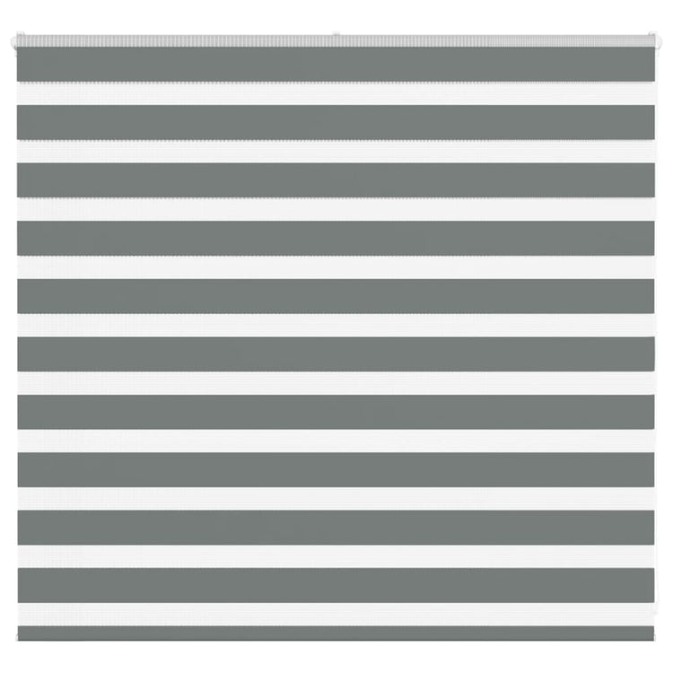 Vidaxl Zebra Roller Blind 155x100 cm Stoffbreite 150,9 cm dunkelgrau