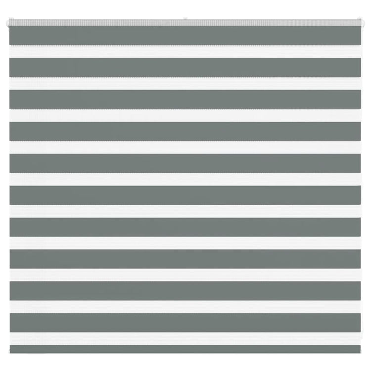 Vidaxl Zebra Roller Blind 165x100 cm Stoffbreite 160,9 cm dunkelgrau