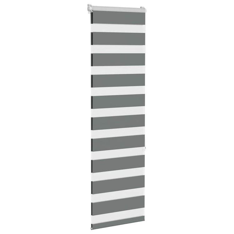 Vidaxl Zebra Roller Blind 40x150 cm Staubbreite 35,9 cm dunkelgrau
