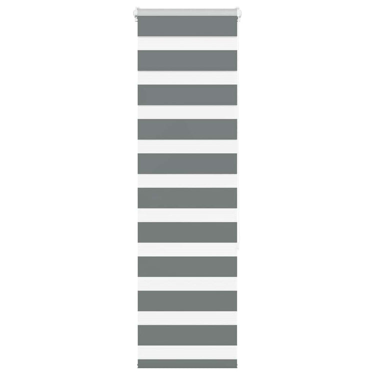 Vidaxl Zebra Roller Blind 50x150 cm Stoffbreite 45,9 cm dunkelgrau