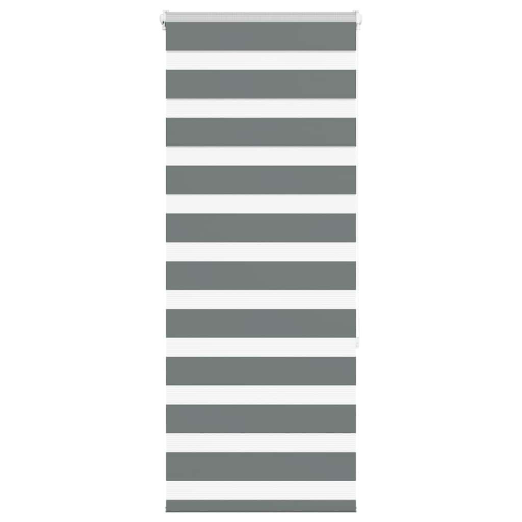 Vidaxl Zebra Roller Blind 55x150 cm Staubbreite 50,9 cm dunkelgrau