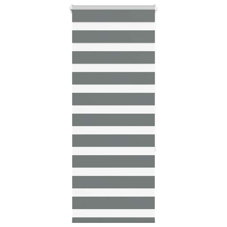 Vidaxl Zebra Roller Blind 55x150 cm Staubbreite 50,9 cm dunkelgrau