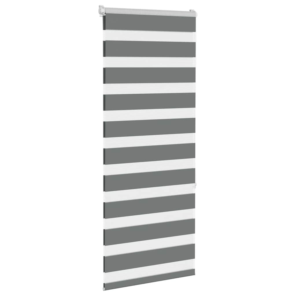 Vidaxl Zebra Roller Blind 55x150 cm Staubbreite 50,9 cm dunkelgrau