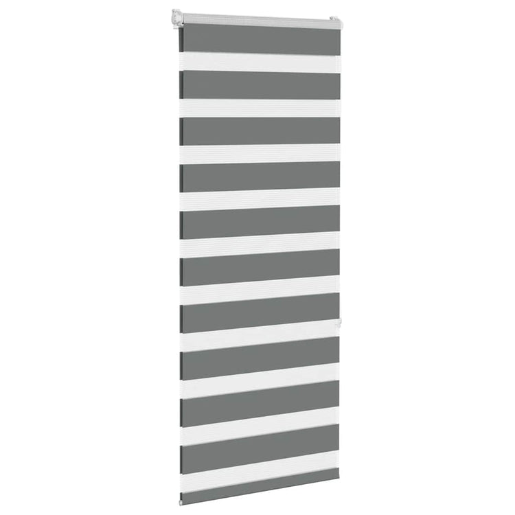 Vidaxl Zebra Roller Blind 55x150 cm Staubbreite 50,9 cm dunkelgrau