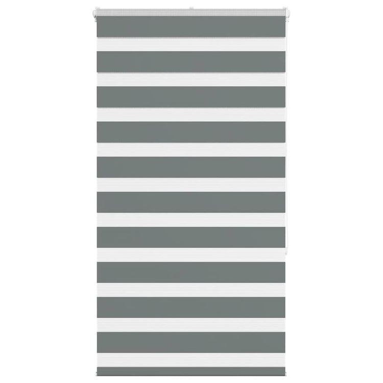 Vidaxl Zebra Roller Blind 70x150 cm Staubbreite 65,9 cm dunkelgrau