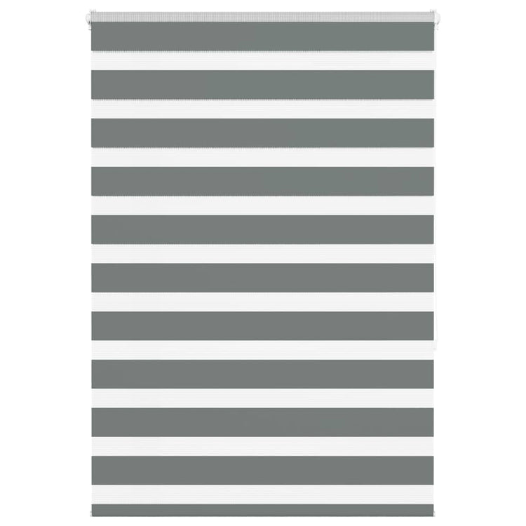 Vidaxl Zebra Roller Blind 100x150 cm Staubbreite 95,9 cm dunkelgrau