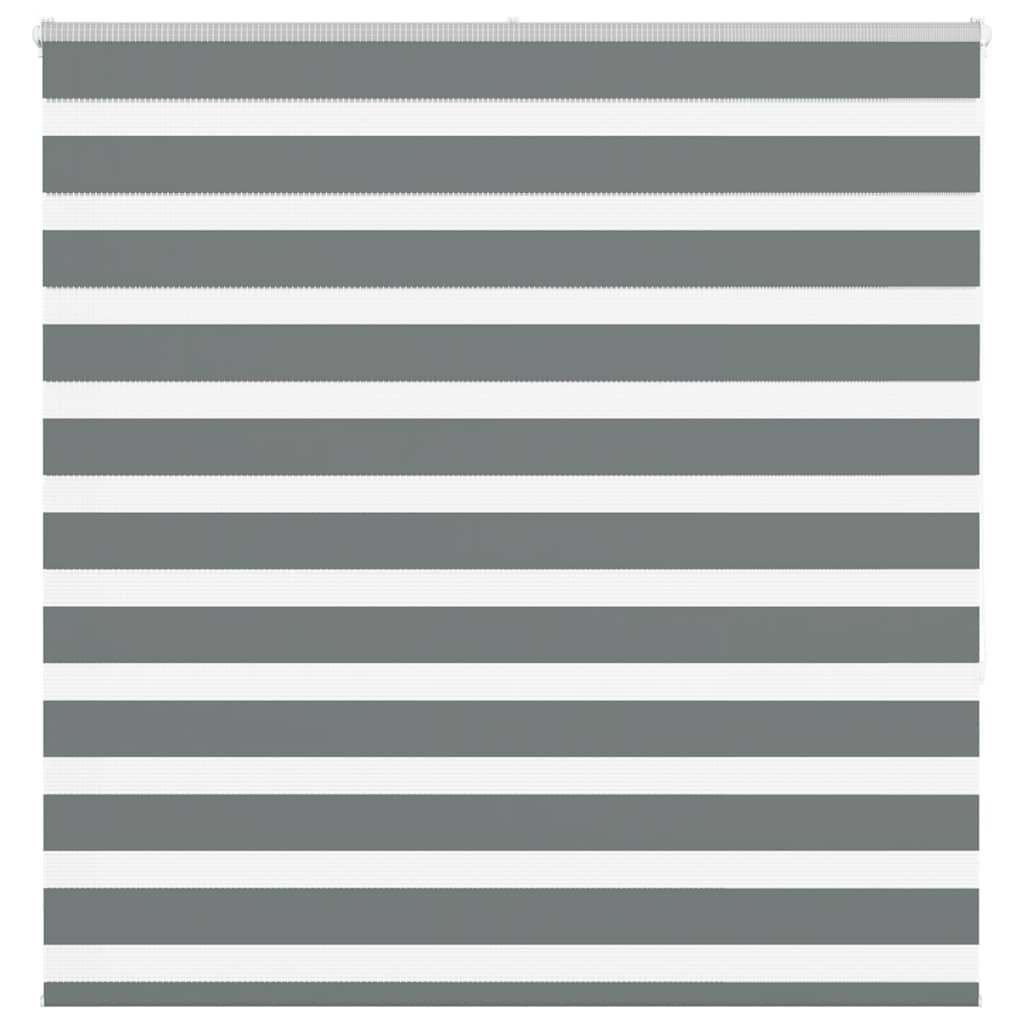 VidaXL Zebra-Rollo 150x150 cm Stoffbreite 145,9 cm Dunkelgrau
