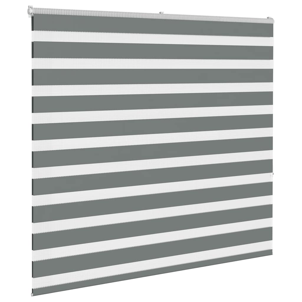 VidaXL Zebra-Rollo 155x150 cm Stoffbreite 150,9 cm Dunkelgrau
