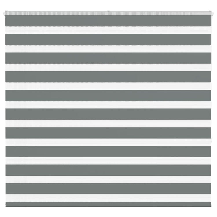 VidaXL Zebra-Rollo 160x150 cm Stoffbreite 155,9 cm Dunkelgrau
