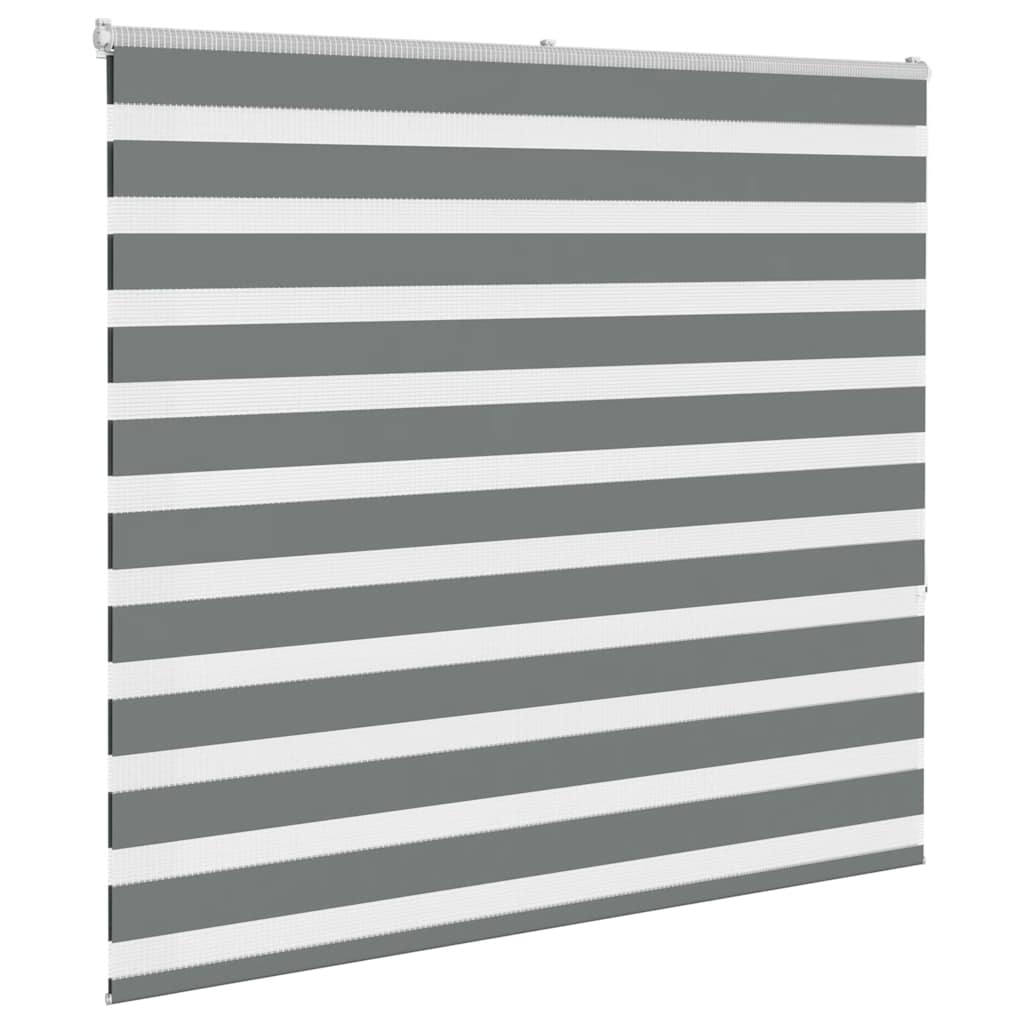 VidaXL Zebra-Rollo 165x150 cm Stoffbreite 160,9 cm Dunkelgrau