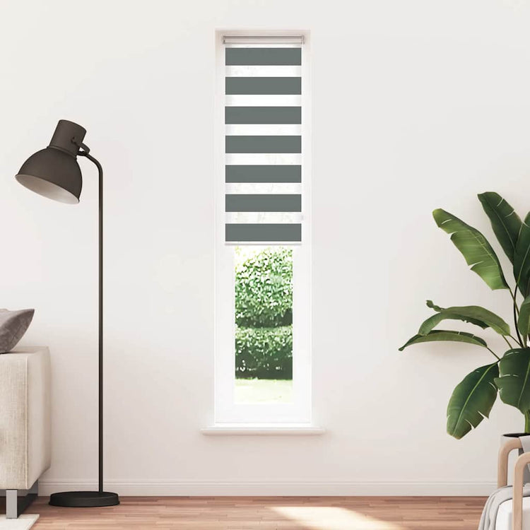 Vidaxl Zebra Roller Blind 50x200 cm Staubbreite 45,9 cm dunkelgrau