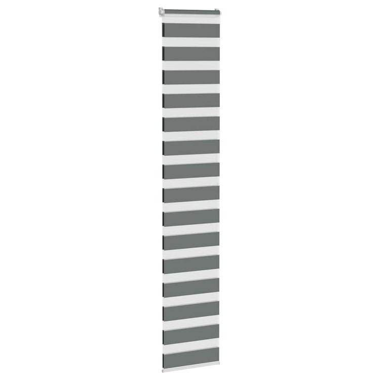 Vidaxl Zebra Roller Blind 50x200 cm Staubbreite 45,9 cm dunkelgrau