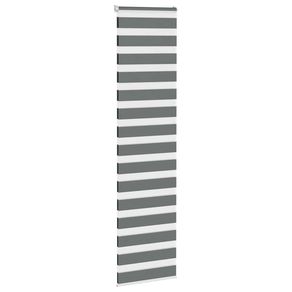 Vidaxl Zebra Roller Blind 55x200 cm Stoffbreite 50,9 cm dunkelgrau