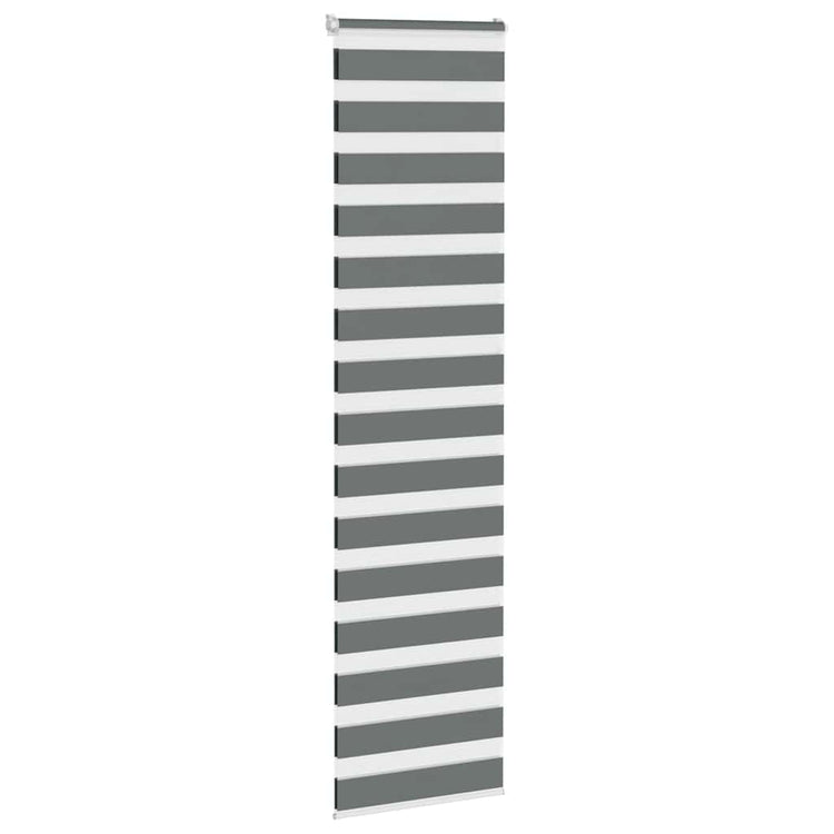 Vidaxl Zebra Roller Blind 55x200 cm Stoffbreite 50,9 cm dunkelgrau