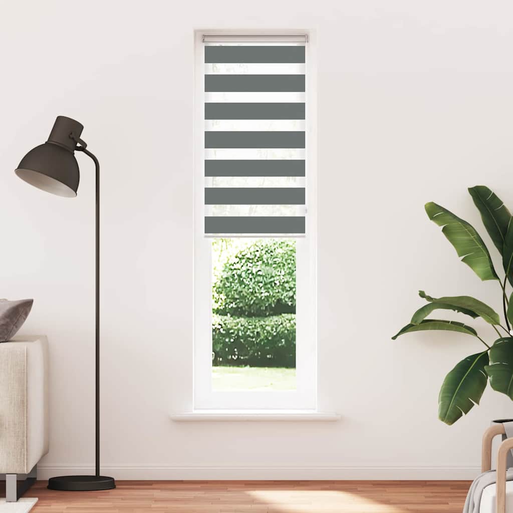 Vidaxl Zebra Roller Blind 65x200 cm Stoffbreite 60,9 cm dunkelgrau