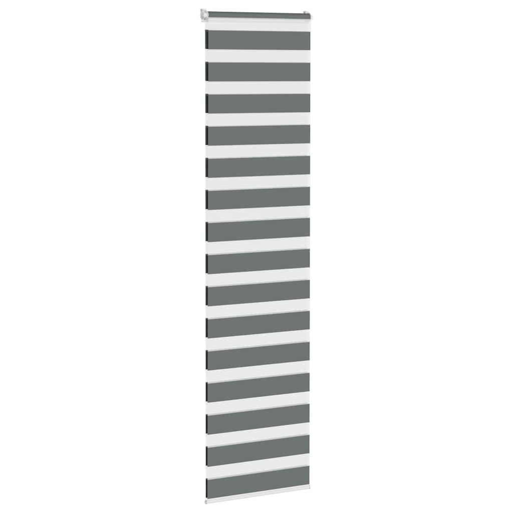 Vidaxl Zebra Roller Blind 70x200 cm Staubbreite 65,9 cm dunkelgrau