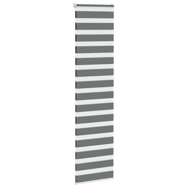 Vidaxl Zebra Roller Blind 70x200 cm Staubbreite 65,9 cm dunkelgrau
