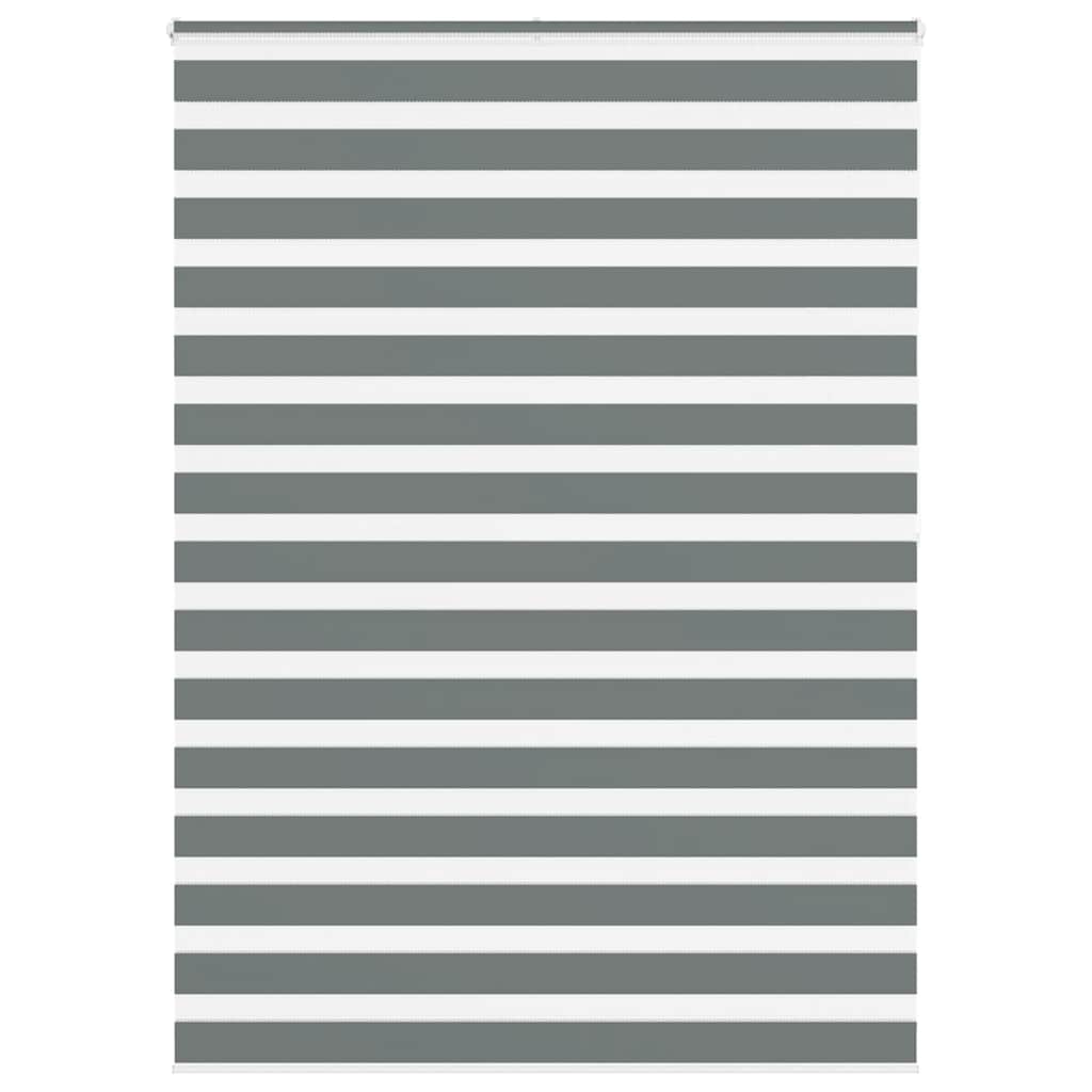 Vidaxl Zebra Roller Blind 155x200 cm Stoffbreite 150,9 cm dunkelgrau
