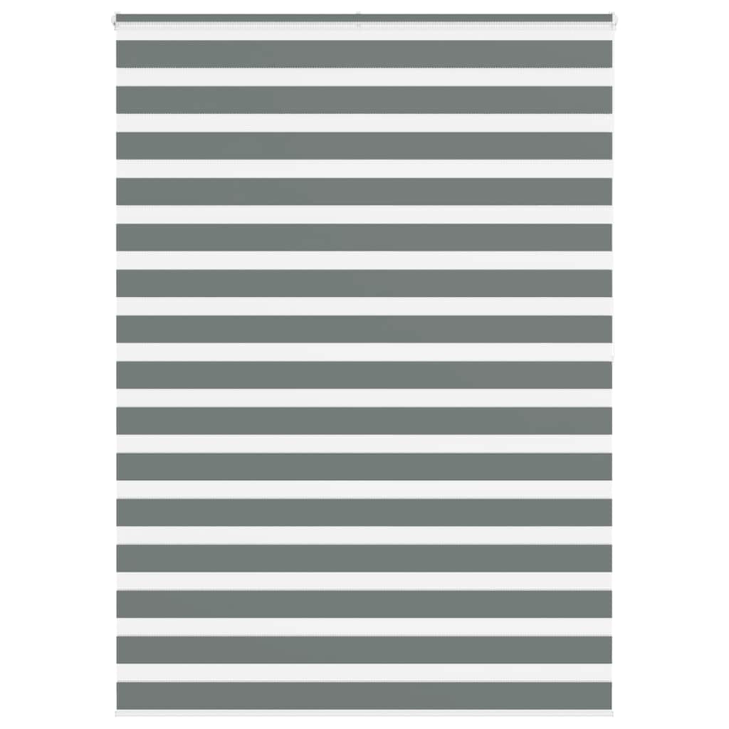 Vidaxl Zebra Roller Blind 165x200 cm Stoffbreite 160,9 cm dunkelgrau