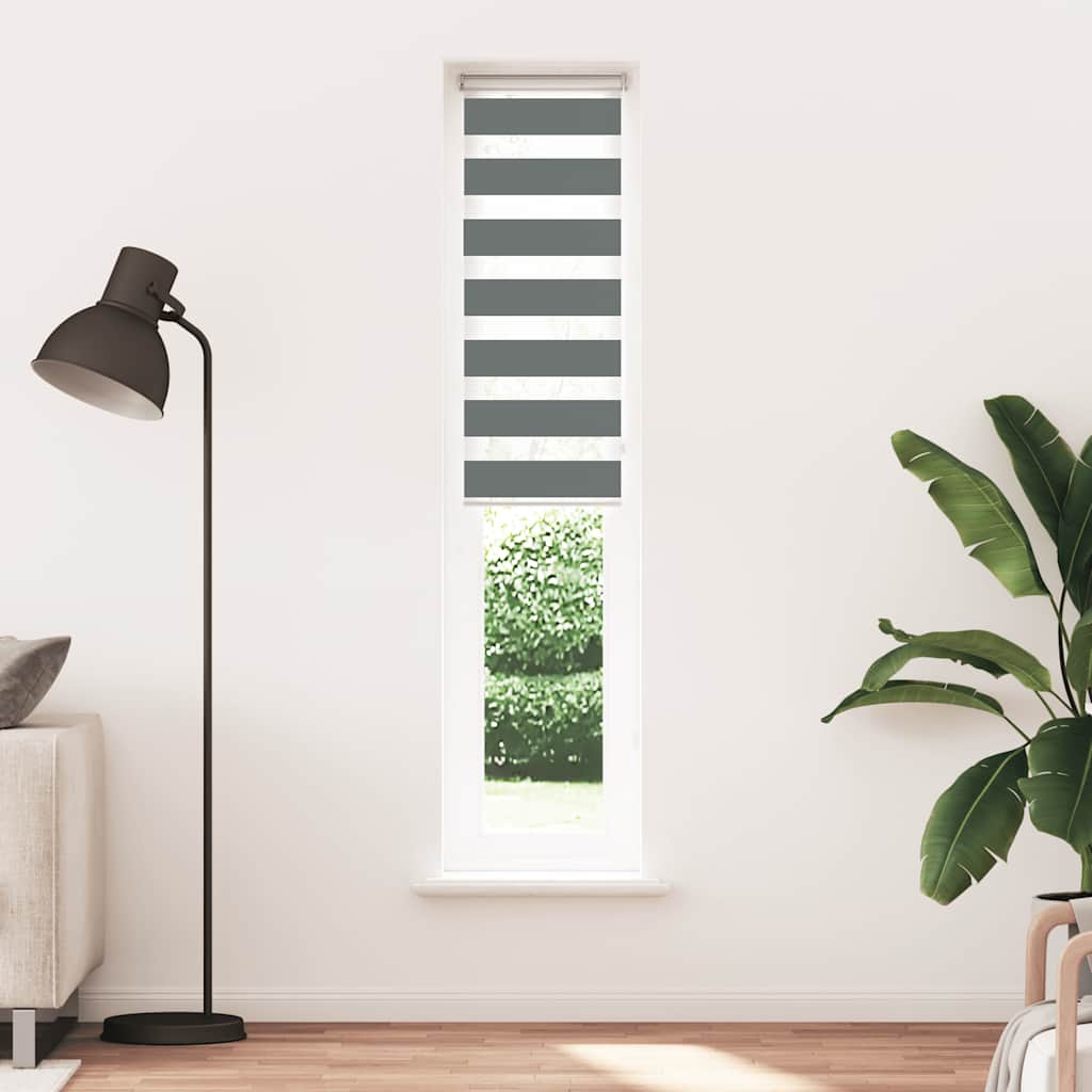 Vidaxl Zebra Roller Blind 50x230 cm Stoffbreite 45,9 cm dunkelgrau