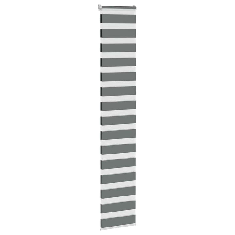 Vidaxl Zebra Roller Blind 50x230 cm Stoffbreite 45,9 cm dunkelgrau