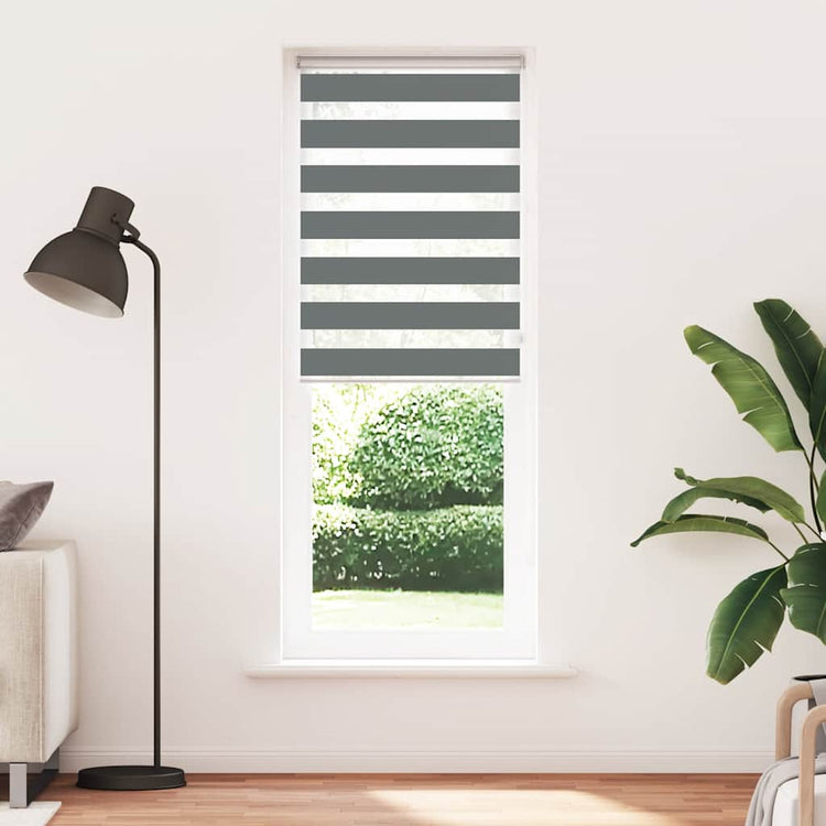 Vidaxl Zebra Roller Blind 75x230 cm Stoffbreite 70,9 cm dunkelgrau