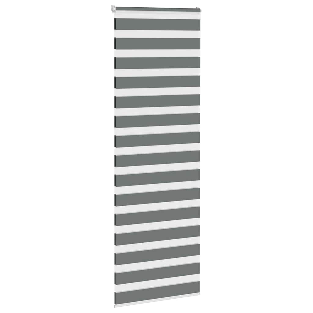 Vidaxl Zebra Roller Blind 75x230 cm Stoffbreite 70,9 cm dunkelgrau