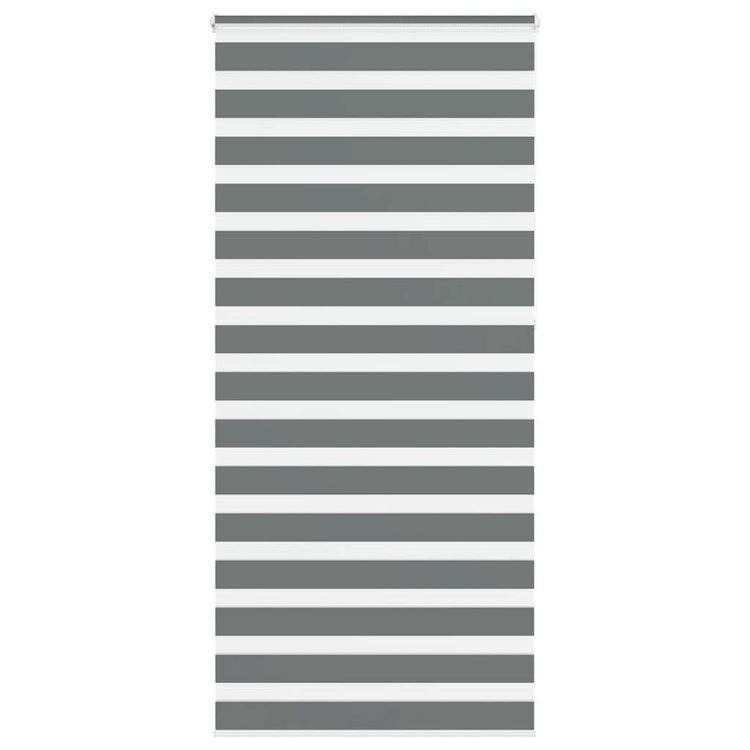 Vidaxl Zebra Roller Blind 95x230 cm Stoffbreite 90,9 cm dunkelgrau