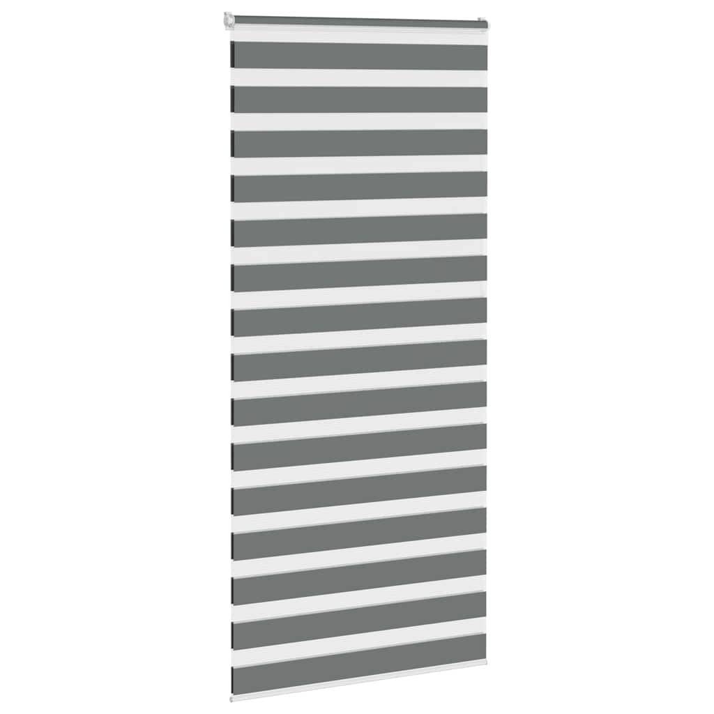 Vidaxx Zebra-Rollo 105x230 cm Stoffbreite 100,9 cm dunkelgrau