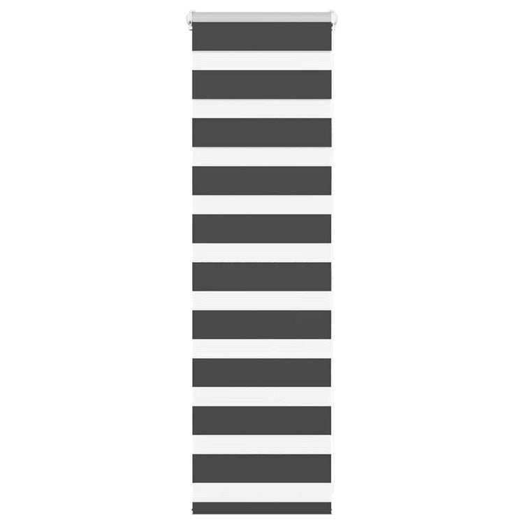 Vidaxl Zebra Roller Blind 45x100 cm Staubbreite 40,9 cm Schwarz