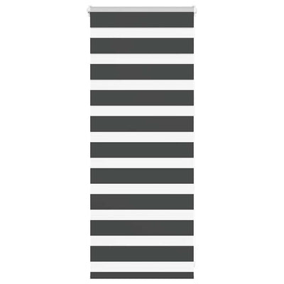 Vidaxl Zebra Roller Blind 65x100 cm Stoffbreite 60,9 cm Schwarz