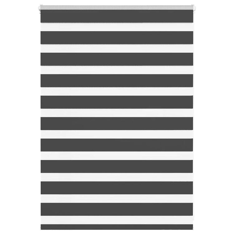 Vidaxl Zebra Roller Blind 100x100 cm Staubbreite 95,9 cm Schwarz