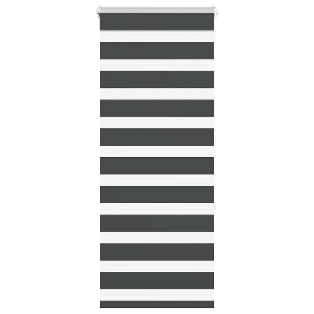 Vidaxl Zebra Roller Blind 55x150 cm Staubbreite 50,9 cm Schwarz