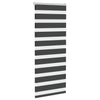 Vidaxl Zebra Roller Blind 60x150 cm Staubbreite schwarz 55,9 cm