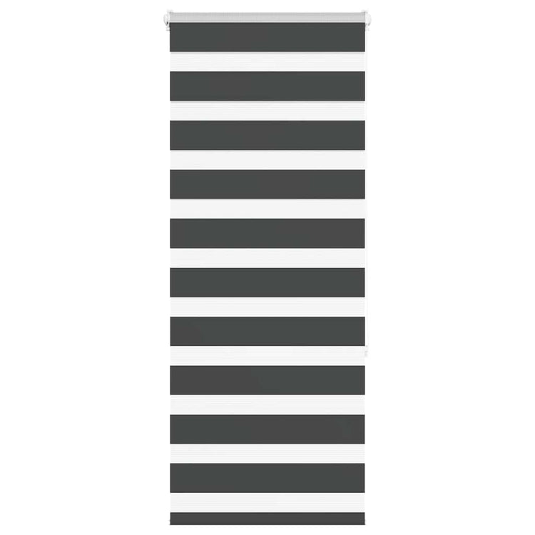 Vidaxl Zebra Roller Blind 65x150 cm Staubbreite 60,9 cm Schwarz