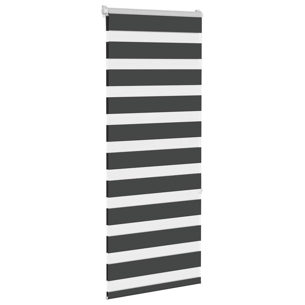 Vidaxl Zebra Roller Blind 65x150 cm Staubbreite 60,9 cm Schwarz