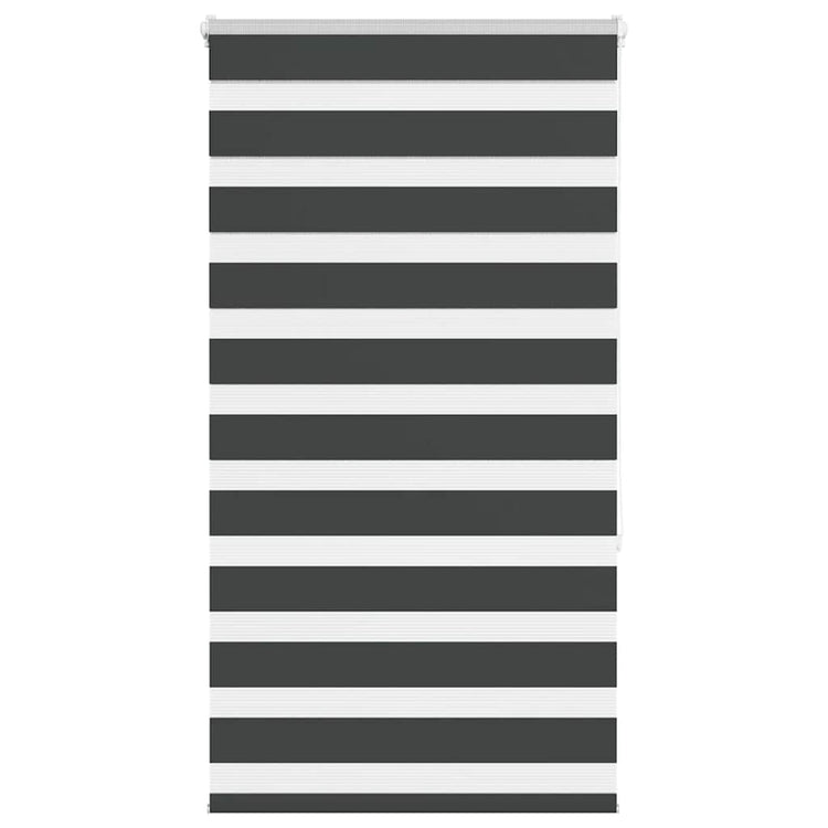 Vidaxl Zebra Roller Blind 75x150 cm Stoffbreite 70,9 cm Schwarz