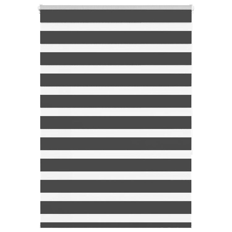 Vidaxl Zebra Roller Blind 115x150 cm Stoffbreite 110,9 cm Schwarz