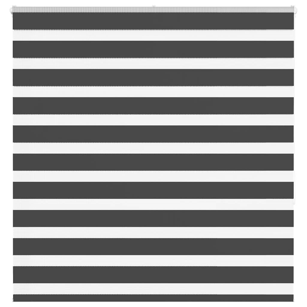 Vidaxl Zebra Roller Blind 150x150 cm Staubbreite 145,9 cm Schwarz