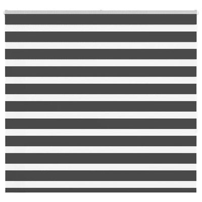 Vidaxl Zebra Roller Blind 160x150 cm Staubbreite 155,9 cm Schwarz