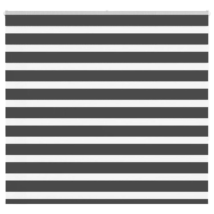 Vidaxl Zebra Roller Blind 160x150 cm Staubbreite 155,9 cm Schwarz