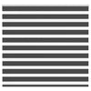 Vidaxl Zebra Roller Blind 165x150 cm Staubbreite 160,9 cm Schwarz