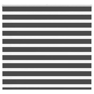 Vidaxl Zebra Roller Blind 165x150 cm Staubbreite 160,9 cm Schwarz