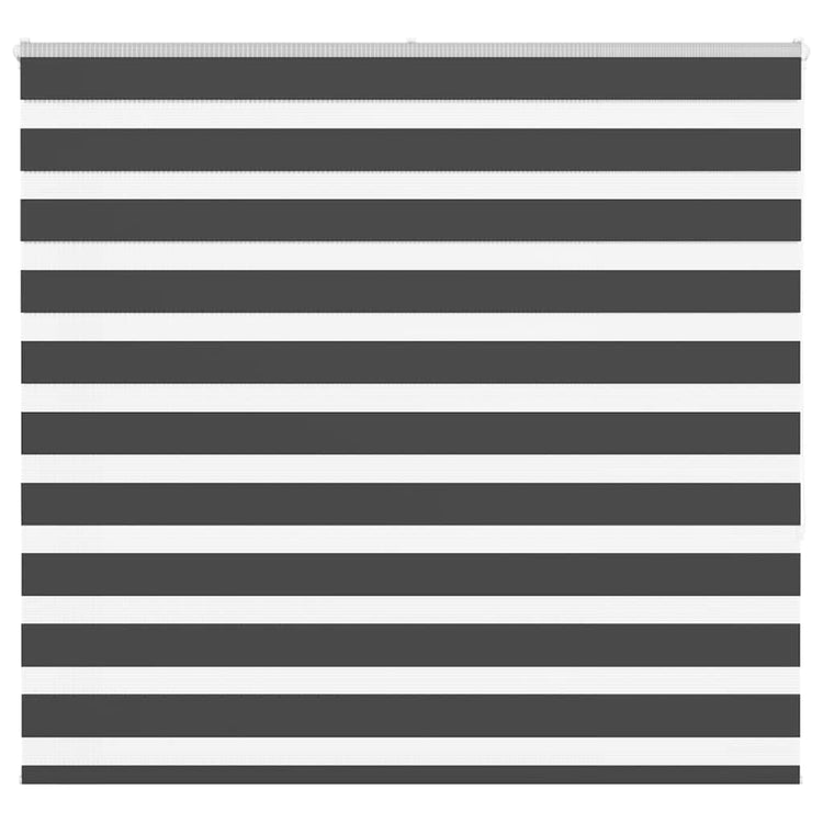 Vidaxl Zebra Roller Blind 165x150 cm Staubbreite 160,9 cm Schwarz