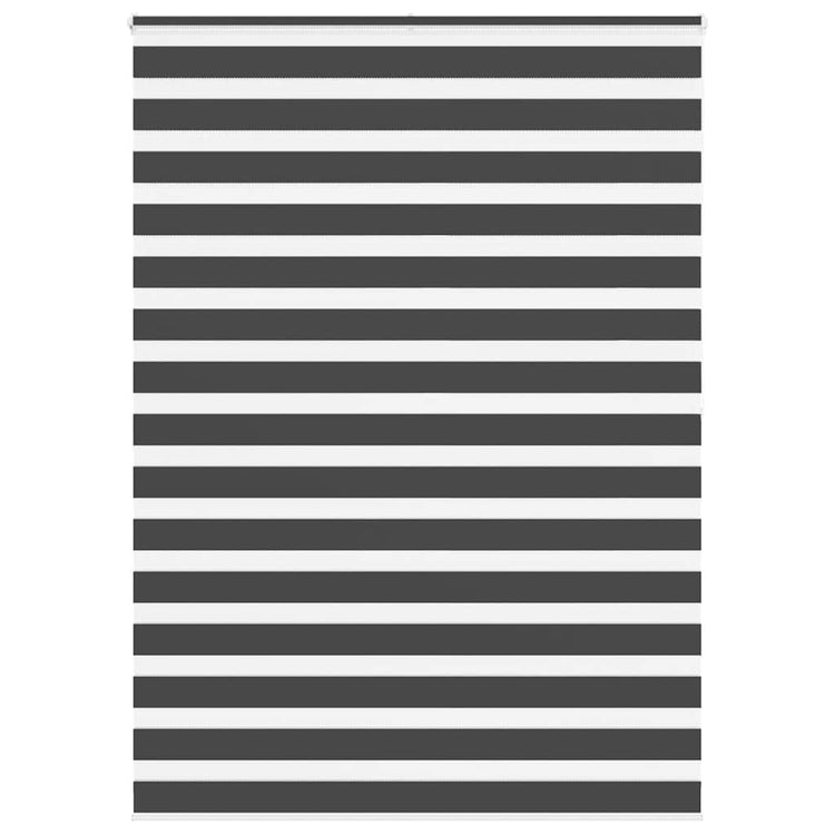 VidaXL Zebra-Rollo 160x200 cm Stoffbreite 155,9 cm Schwarz