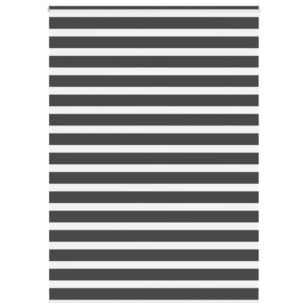 Vidaxl Zebra Roller Blind 160x230 cm Stoffbreite 155,9 cm Schwarz